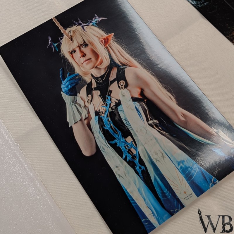 Galerie Bild