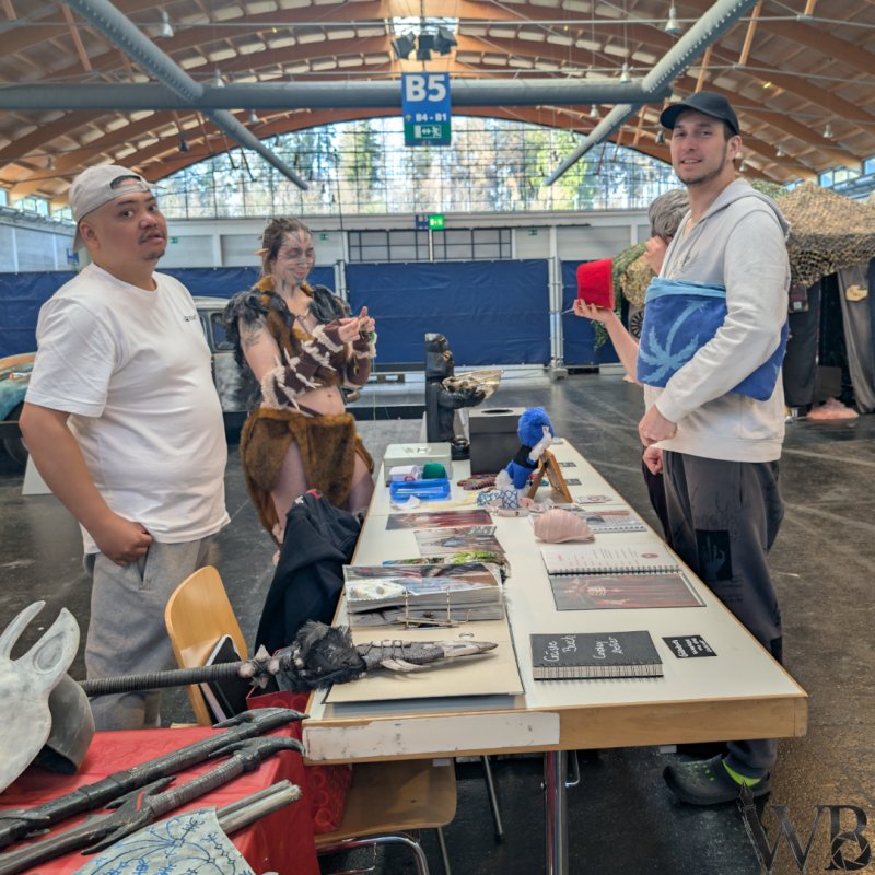 Galerie Bild