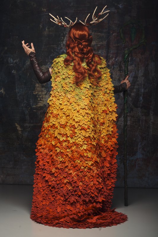 Galerie Bild